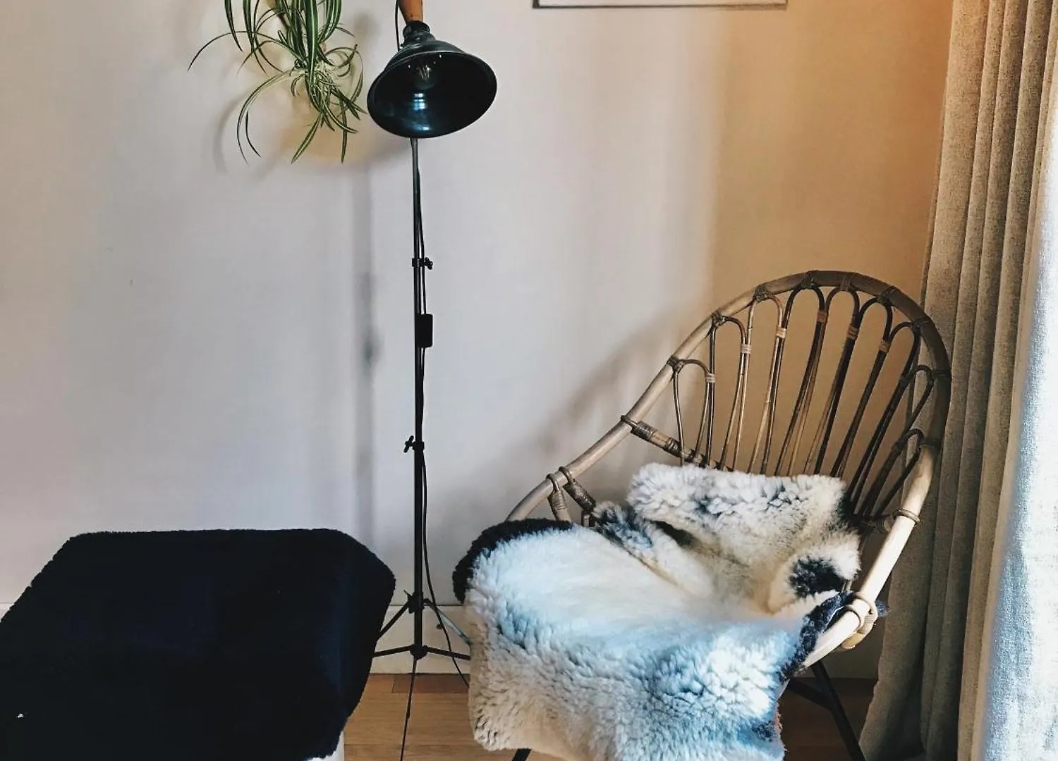 Peaceful Scandi Garden